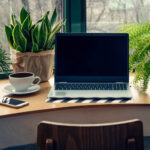 Choosing the Right Plants for Your Office: The Definitive Guide